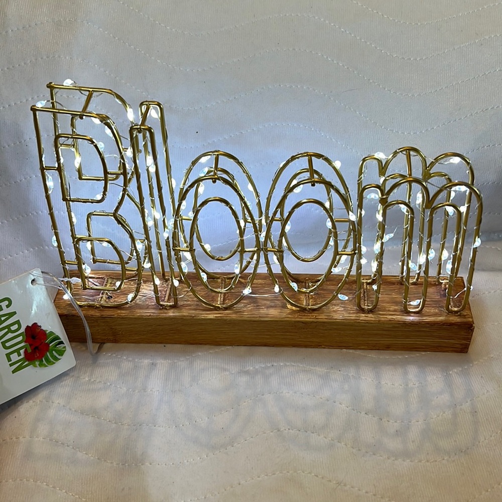 Garden 🪴 Party LED Wire Frame Light With BLOOM NWT